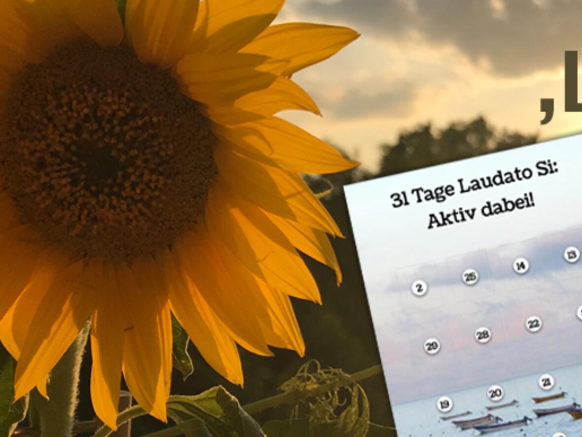 Sommerkalender: Impulse zu nachhaltigem Leben