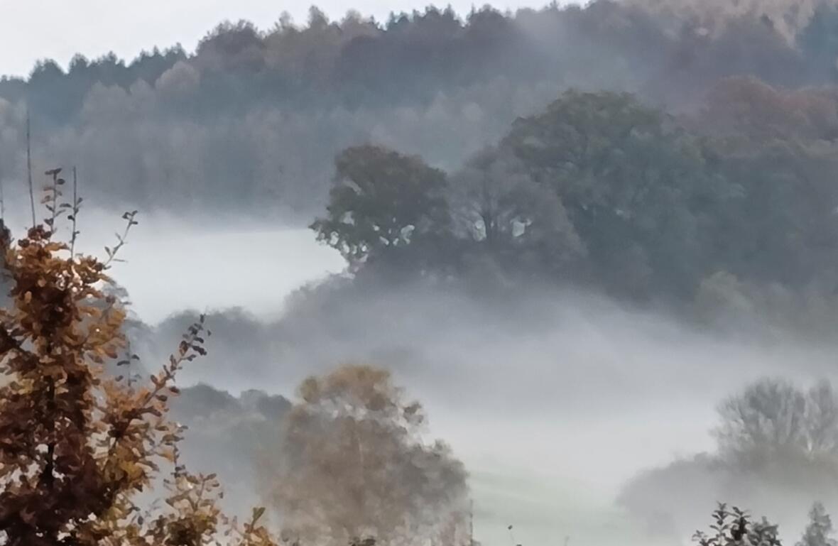 "Im Nebel der Pandemie: Verschwörungsglaube und Esoterik in der Corona-Krise" (Symboldfoto: Klaudia Hartmann)