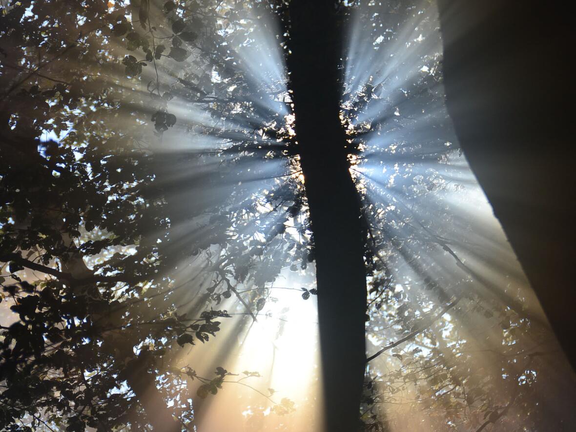 Online-Vortrag: Spiritualität im 21. Jahrhundert