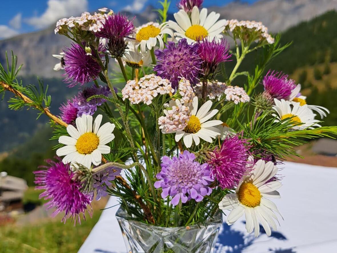 In der Kathedrale der Schöpfung