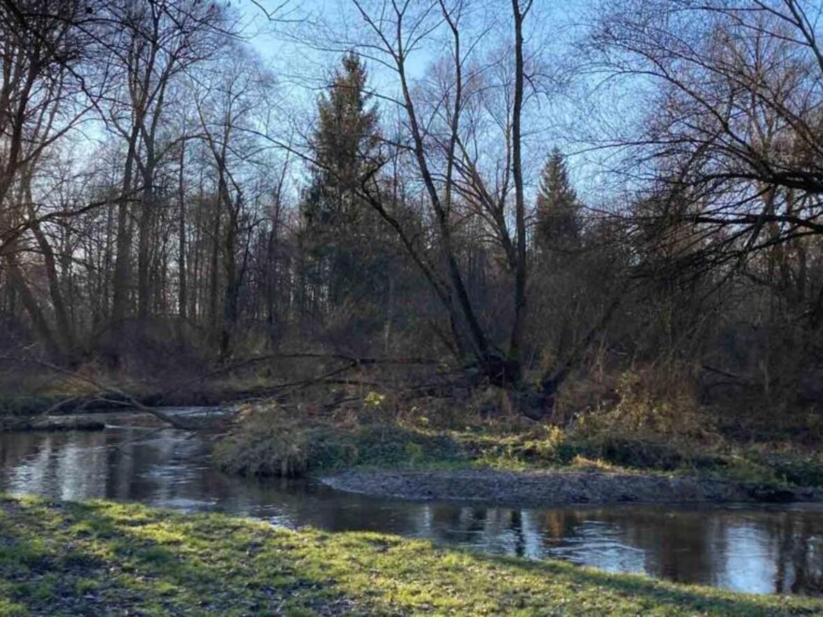 „Damit Ströme lebendigen Wassers fließen“: Paardurchburch bei Ottmaring (Foto: Karl-Georg Michel / Abteilung Kirche und Umwelt)