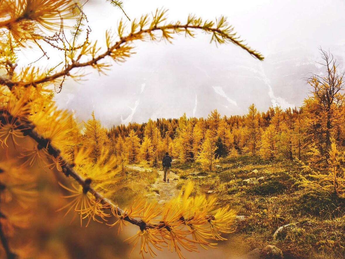 KEB-Vortrag "Wege aus der Einsamkeit". (Motivfoto: pixabay)