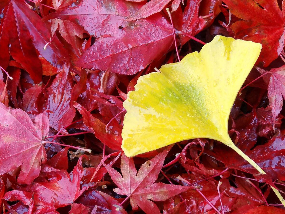Happy Aging (Foto: Martin Manigatterer / Pfarrbriefservice.de)