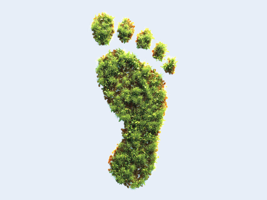 Klimafreundlich leben leicht gemacht