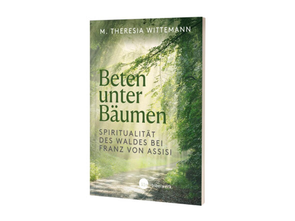 Buch-Neuerscheinung: "Beten unter Bäumen"