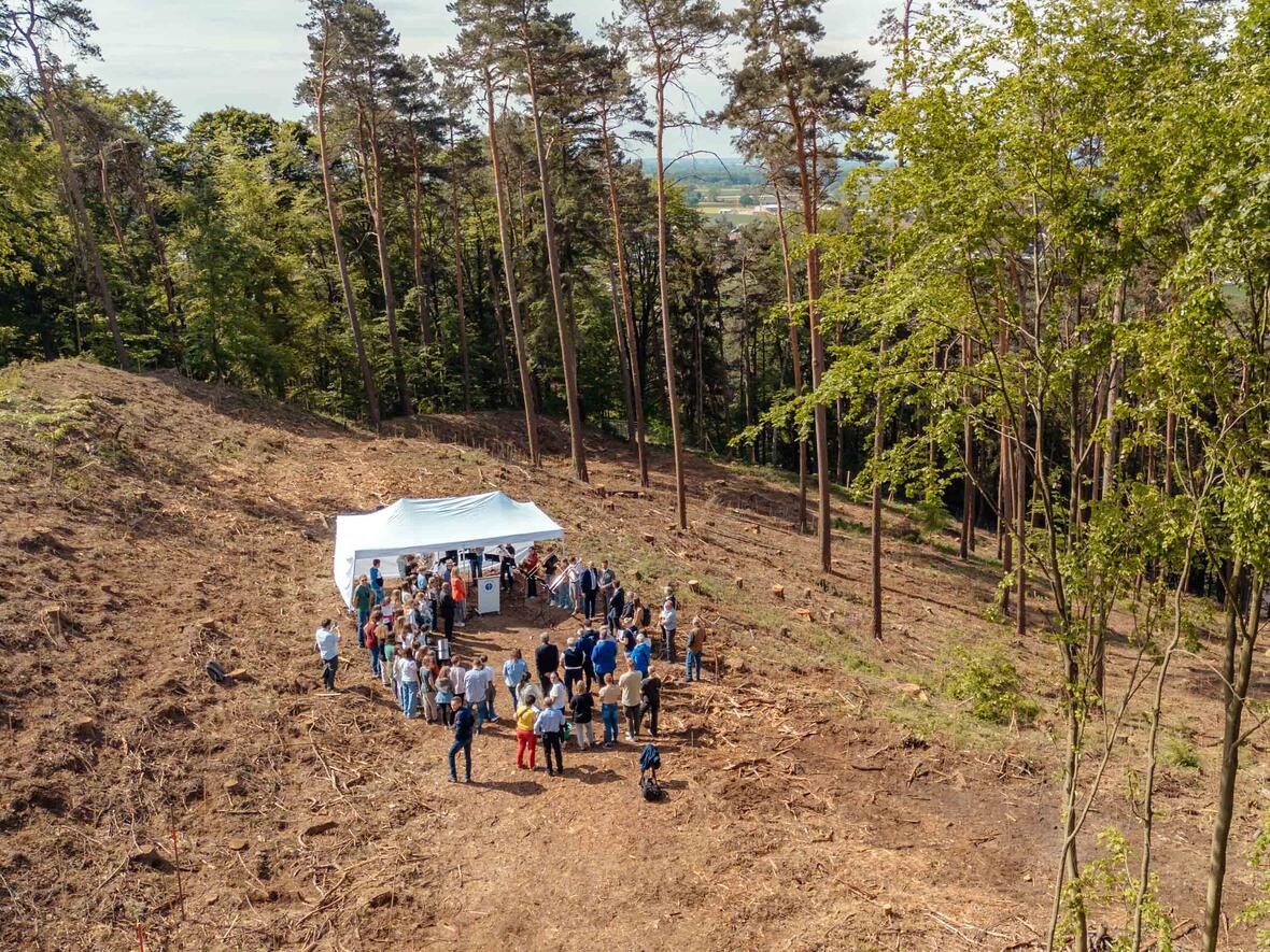 Mehr als 3.000 "Bildungsbäume" gepflanzt