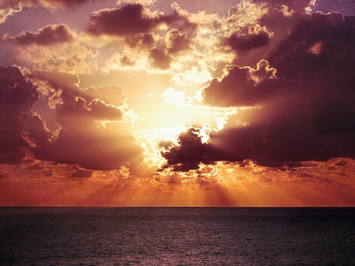 Foto: Nick Scheerbart (unsplash)