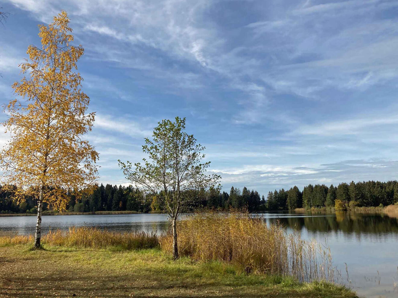 Der Schöpfungspreis der Diözese Augsburg honoriert Projekte, die den Erhalt von Umwelt und Natur fördern. (Foto: Karl-Georg Michel)