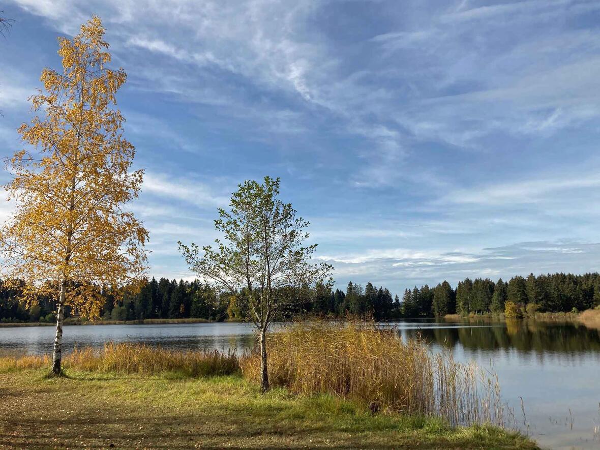 Der Schöpfungspreis der Diözese Augsburg honoriert Projekte, die den Erhalt von Umwelt und Natur fördern. (Foto: Karl-Georg Michel)