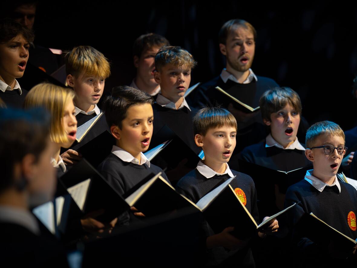 Kammerchor der Augsburger Domsingknaben (Foto: DSK / Susanne Merk)