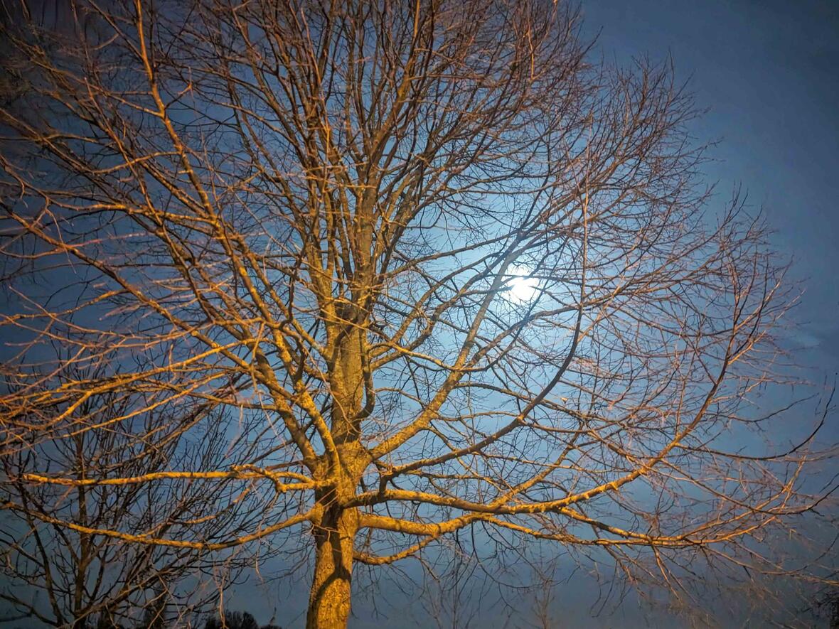 Nachtwallfahrten für Männer (Motivfoto: Sandra Moldovan, in: pfarrbriefservice.de)