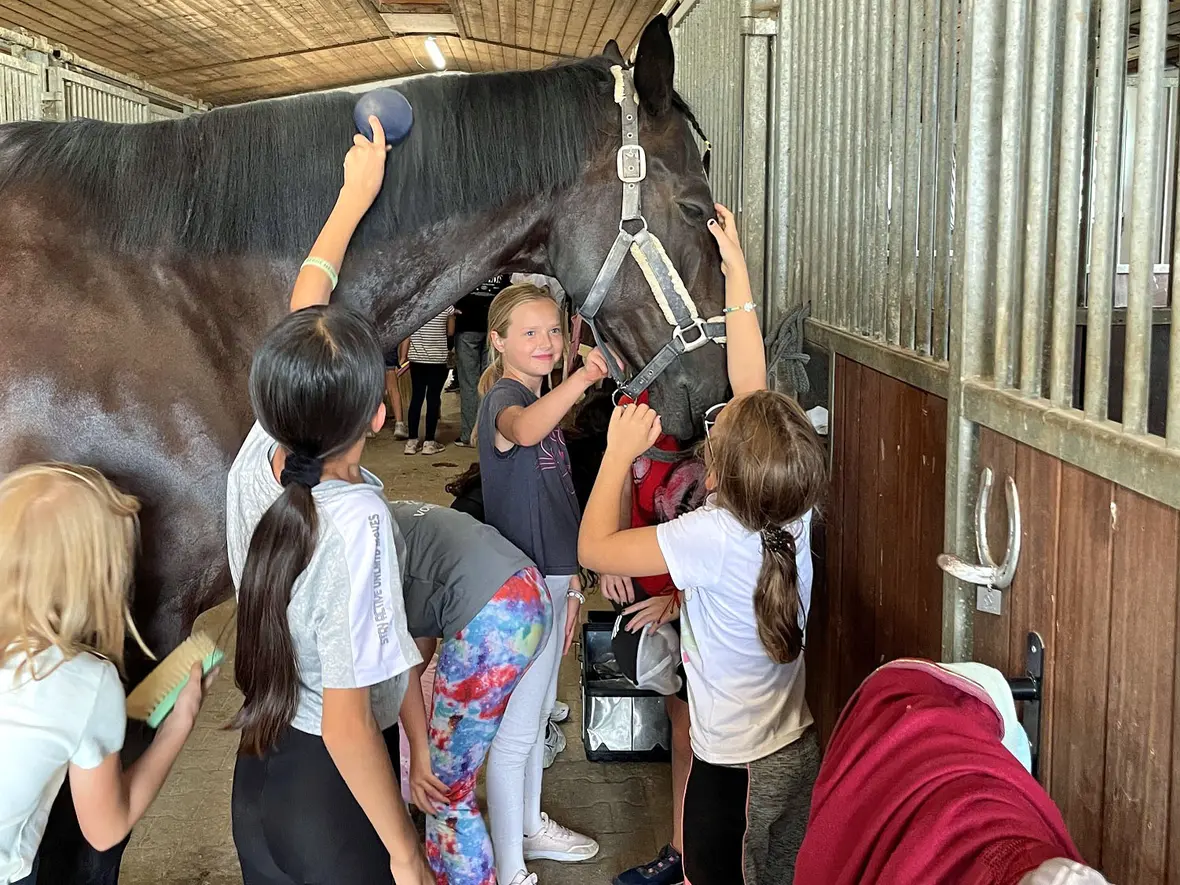 Kleine Auszeit auf dem Pferderücken: Der Diözesan-Caritasverband und der Augsburger Pferdesportverein e.V. ermöglichten Geflüchteten-Kindern einen Ferienreitkurs, bei dem auch das Putzen der Tiere nicht zu kurz kommen durfte. (Fotos: Isabella Wlossek / Caritas Augsburg)