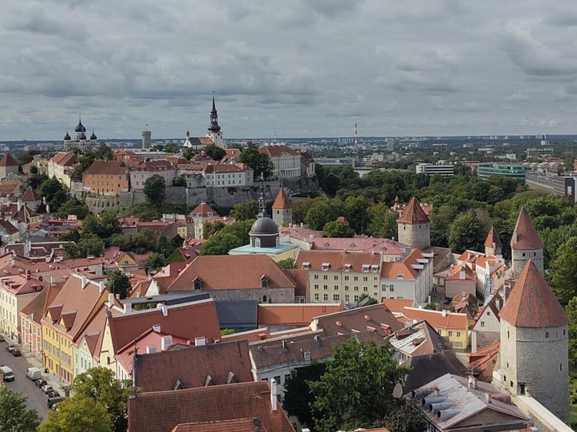 Jugendaustausch mit Estland