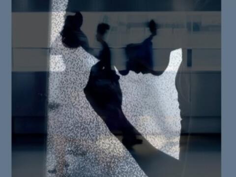 Foto: adobe stock.de 