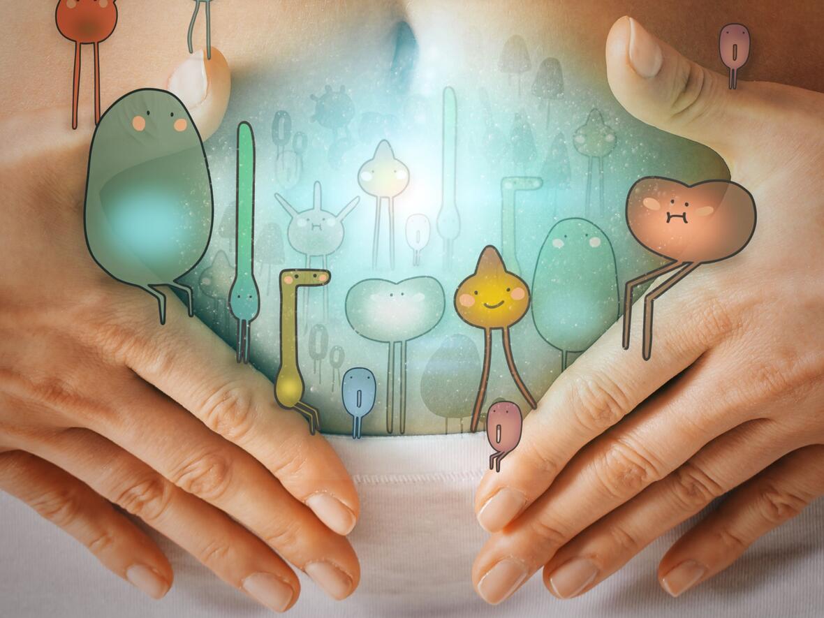 Vortrag über das Mikrobiom