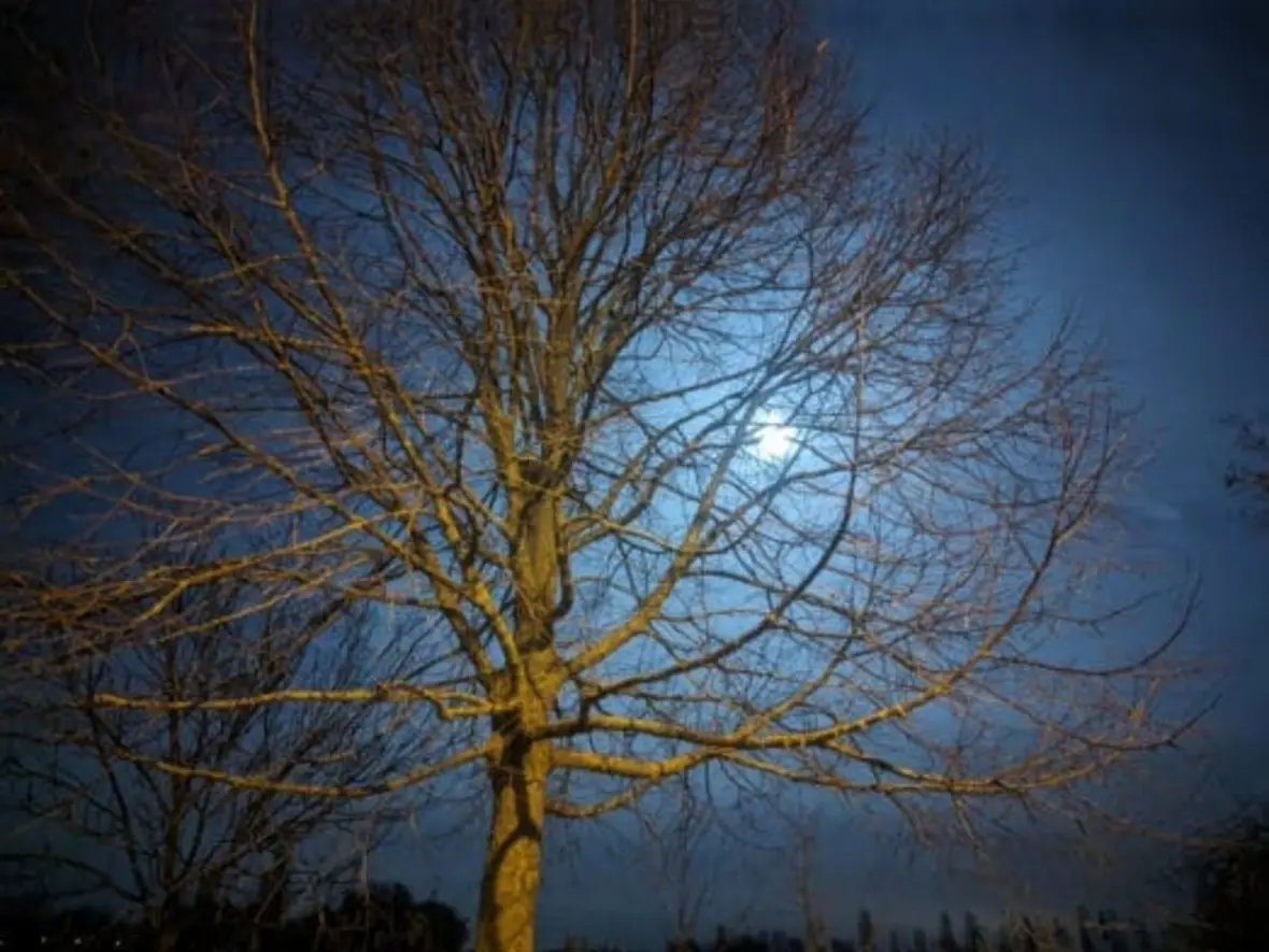 Foto: Sandra Moldovan / pfarrbriefservice.de