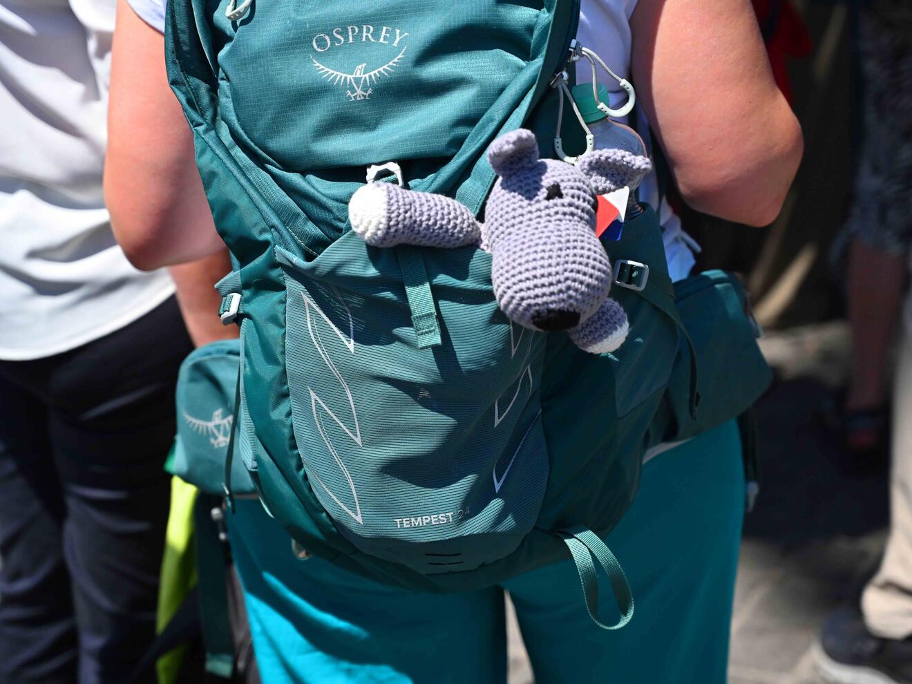 Maskottchen "Lupinella" begleitete die Gruppen aus dem Bistum durch Rom. (Fotos: Leander Stork / pba)
