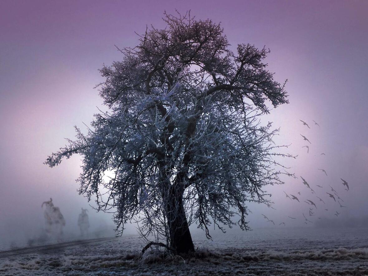 Studientag "Altes Erbe - Neuer Geist" (Foto: pixabay)