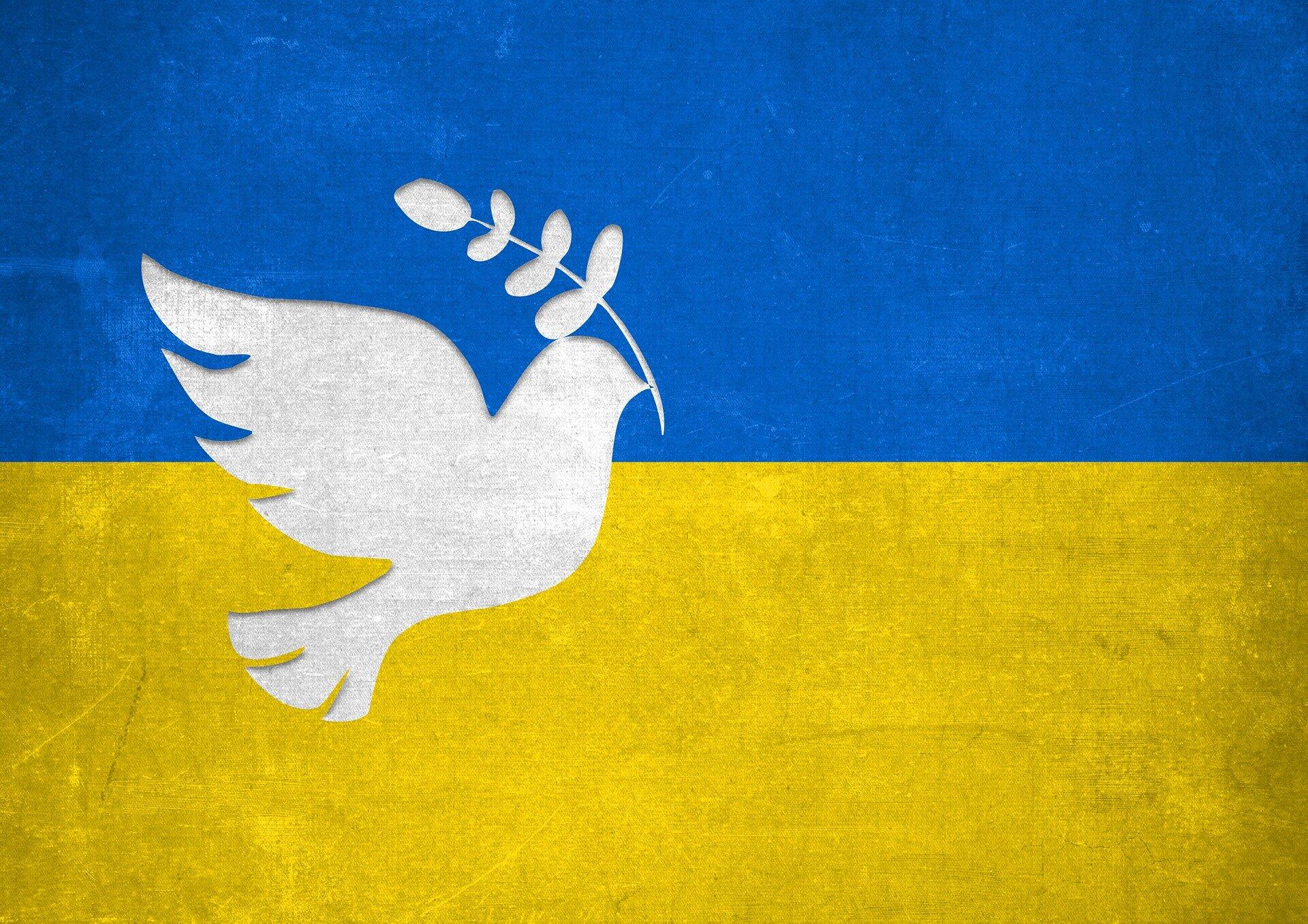 hilfe-fuer-gefluechtete-aus-der-ukraine4256173