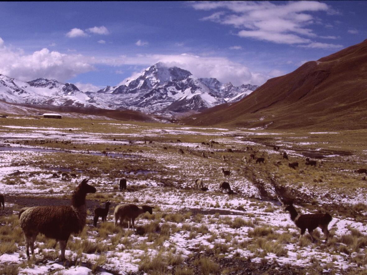 abenteuer-bolivien438929