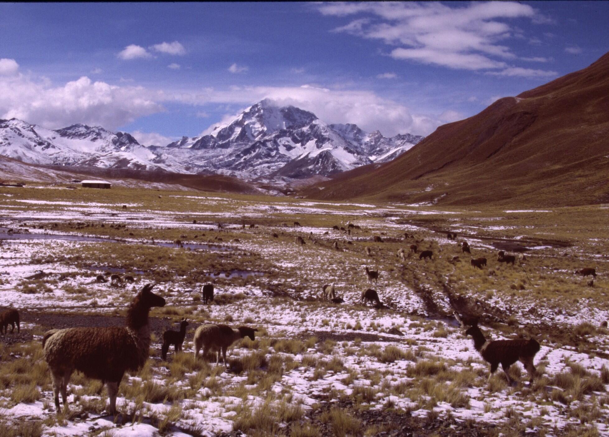 abenteuer-bolivien438929