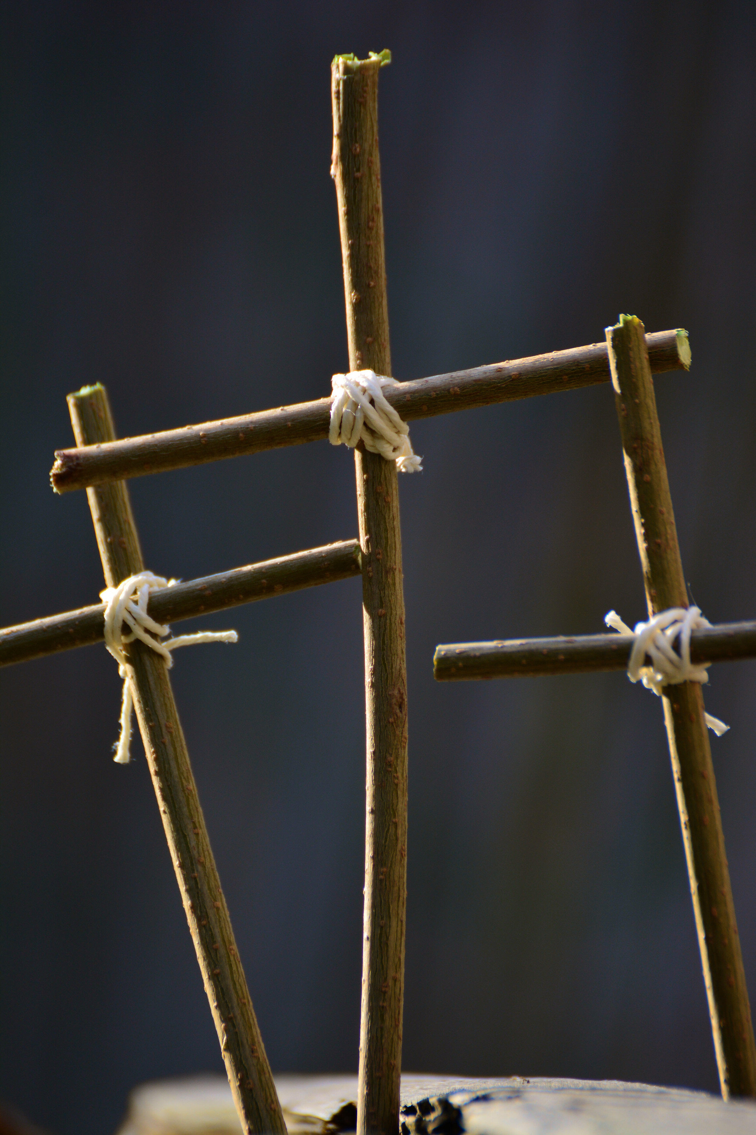 karwoche-20214019233