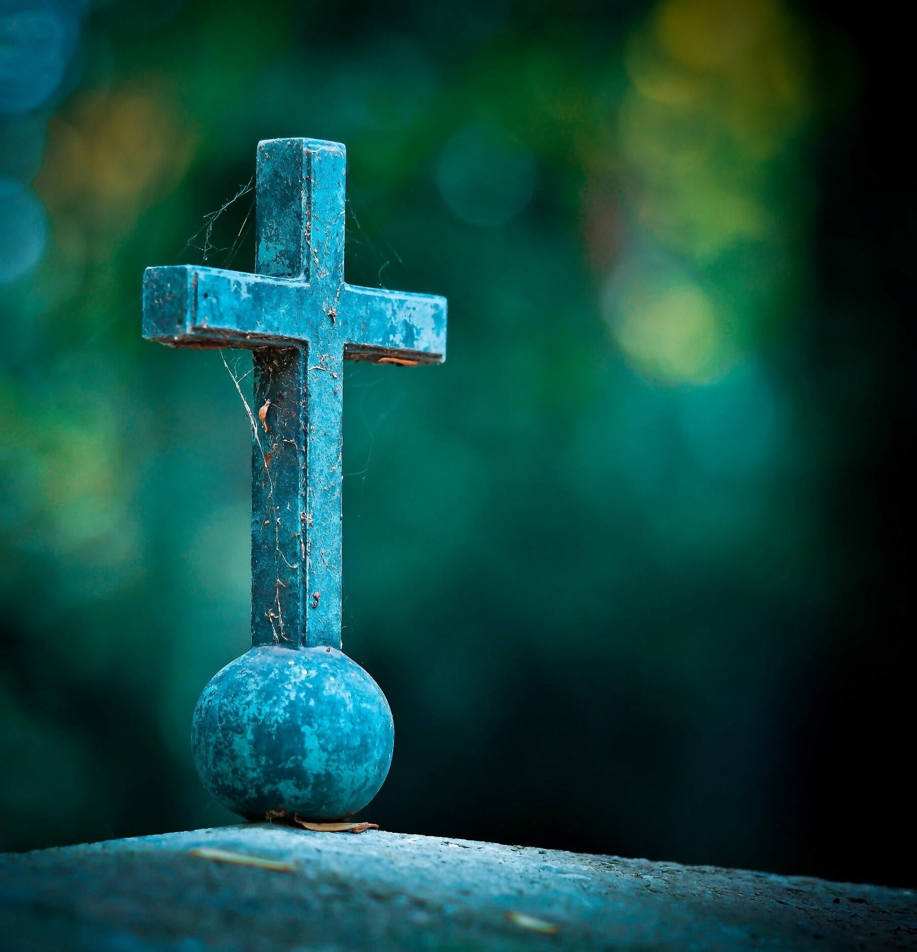 graeber-im-friedhof-st-stephan4514894