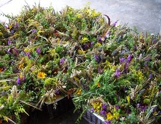 kraeuterbuschbinden-mit-dem-katholischen-frauenbund-meitingen1311447