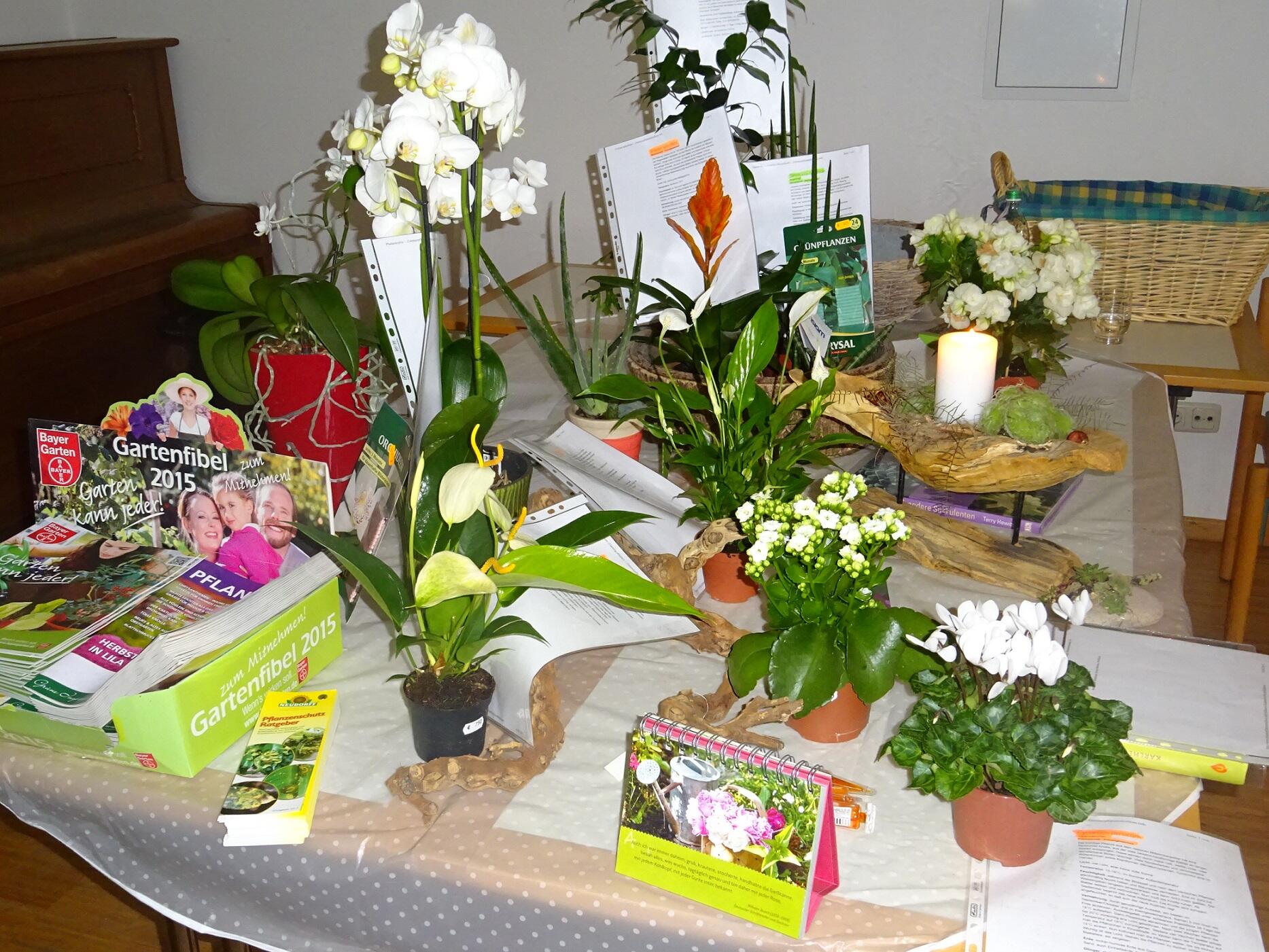 senioren-erhielten-tipps-bei-der-pflege-von-zimmerpflanzen1561488