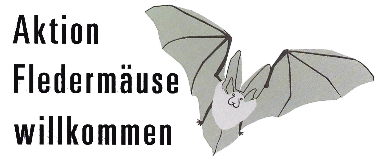 fledermaeuse-willkommen-im-kirchturm-von-st-agatha-uffing2320322