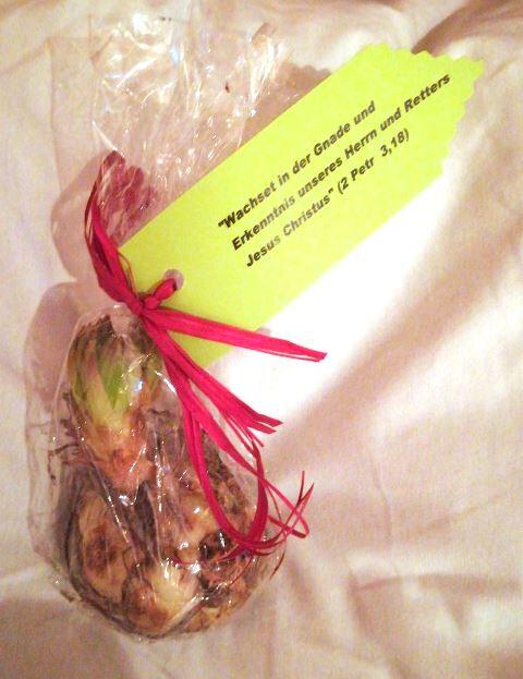 lasst-tausend-blumen-bluehen2712484