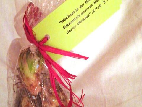 lasst-tausend-blumen-bluehen2712484