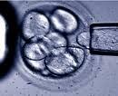 embryonen-haben-menschenwuerde-und-lebensrecht3310543