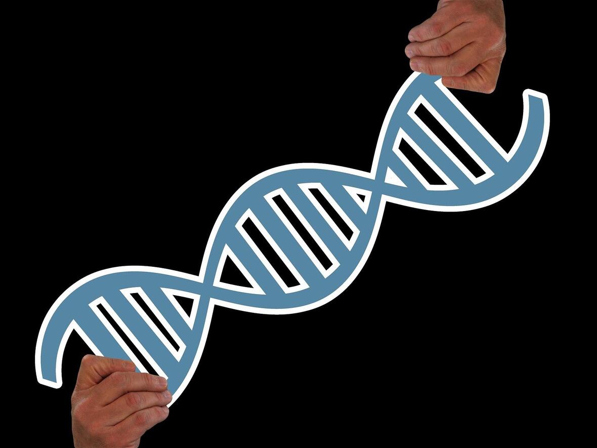 Bild von Gerd Altmann auf Pixabay