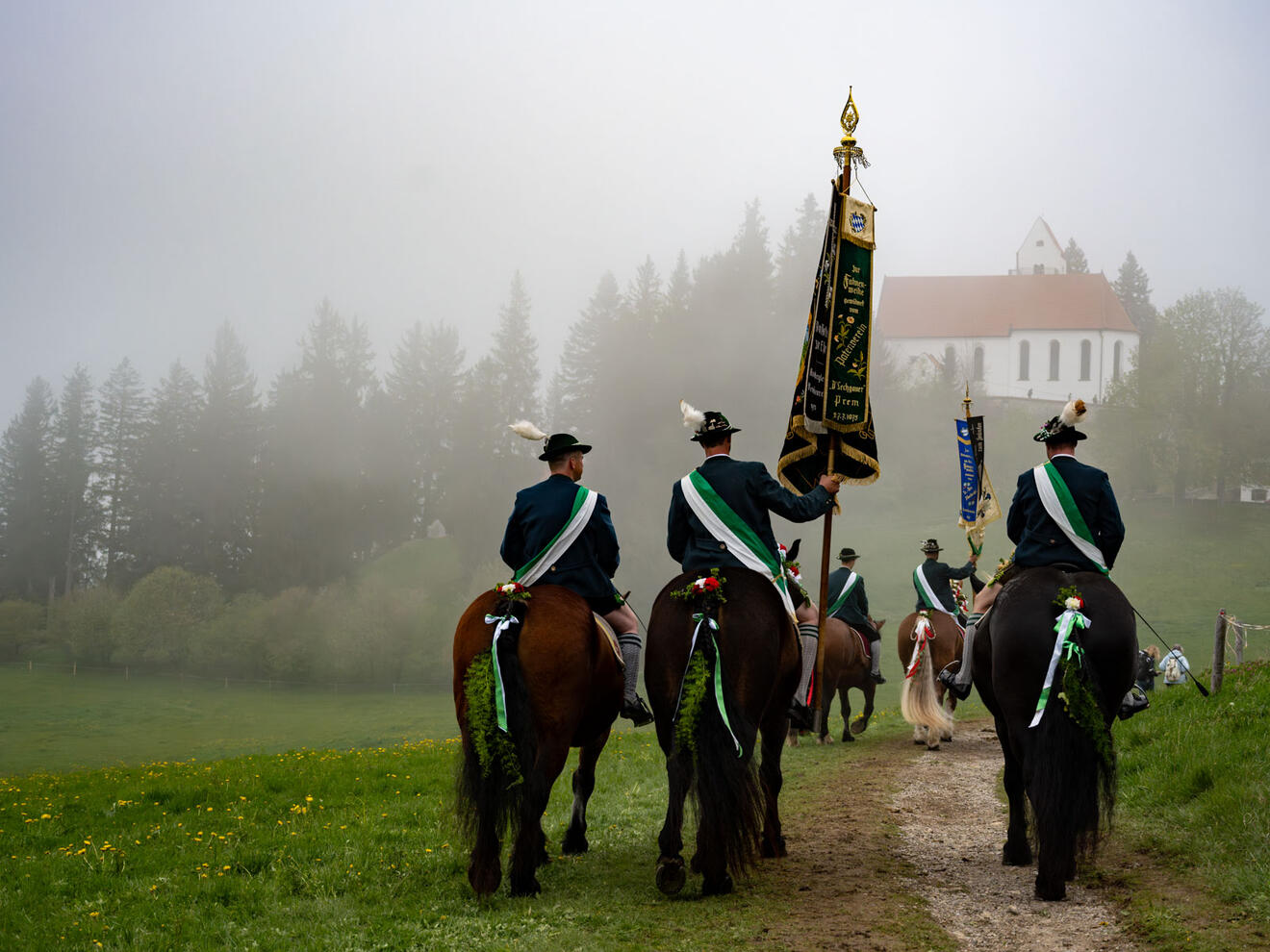 Von Pferden und Pferdestärken (Foto: Julian Schmidt / pba)