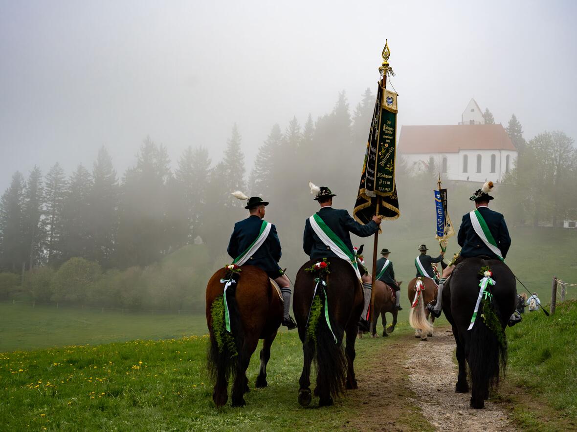 Von Pferden und Pferdestärken (Foto: Julian Schmidt / pba)