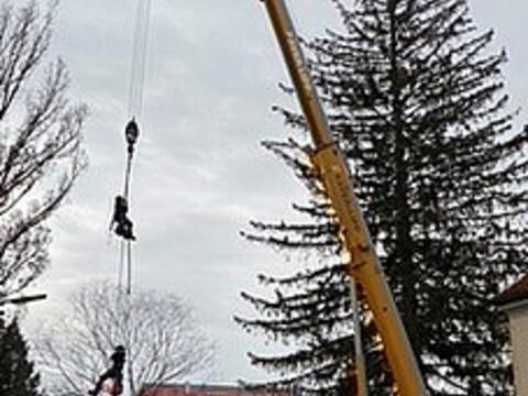 baumfaellaktion-21-1